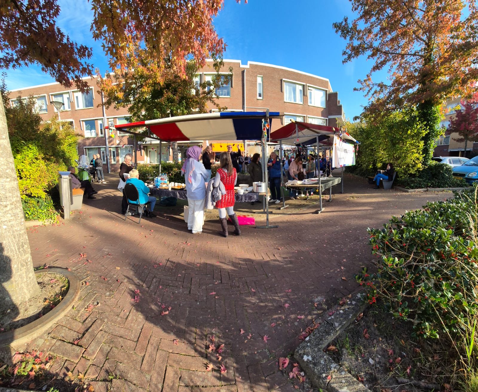 Foto 10 uit onze galerij