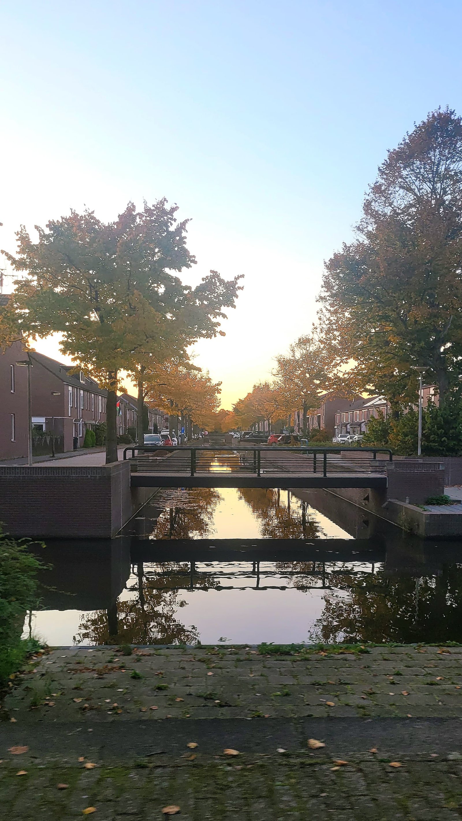 Foto 24 uit onze galerij